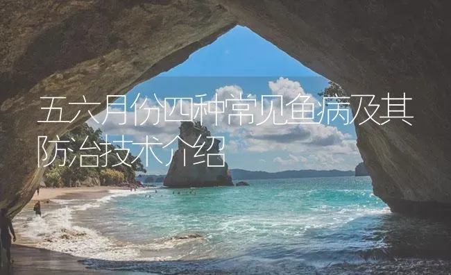 五六月份四种常见鱼病及其防治技术介绍 | 养殖病虫害防治