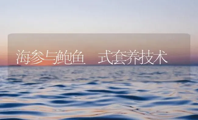 海参与鲍鱼茷式套养技术 | 海水养殖