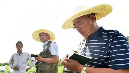 立秋后持续高温热害对稻田小龙虾的影响及应对之策