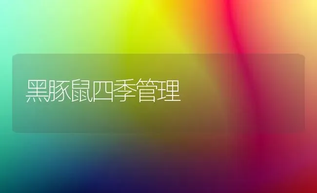高寒季节肉鸡养殖场管理 | 家禽养殖