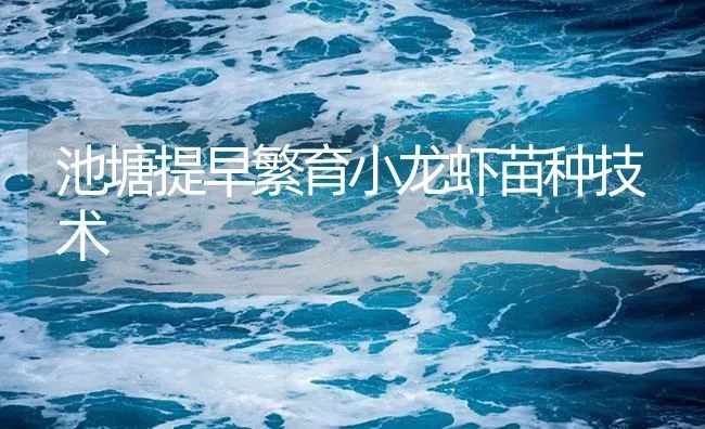 池塘提早繁育小龙虾苗种技术 | 海水养殖