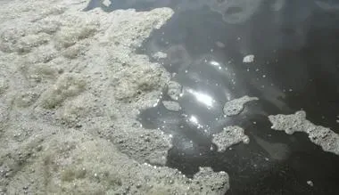 南美白对虾养殖户需加强水质护理防止亚硝酸盐超标