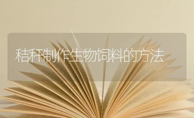 秸秆制作生物饲料的方法 | 动物养殖饲料