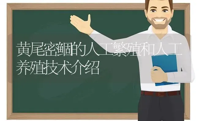 黄尾密鲴的人工繁殖和人工养殖技术介绍 | 动物养殖百科