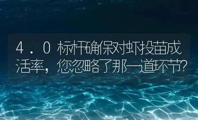 4.0标杆确保对虾投苗成活率，您忽略了那一道环节？ | 海水养殖