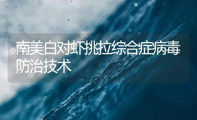 南美白对虾挑拉综合症病毒防治技术 | 海水养殖