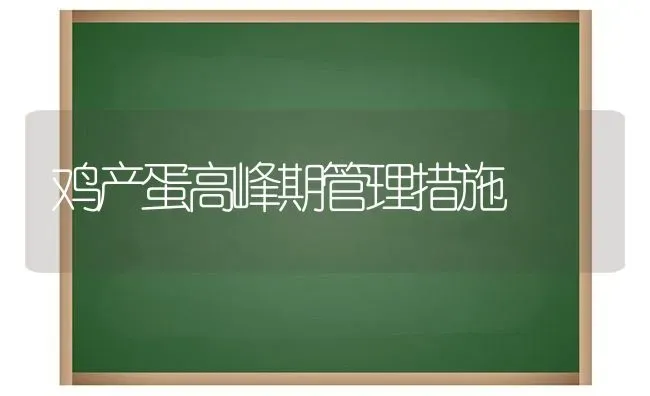 鸡产蛋高峰期管理措施 | 家禽养殖