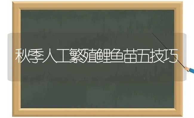 秋季人工繁殖鲤鱼苗五技巧 | 淡水养殖