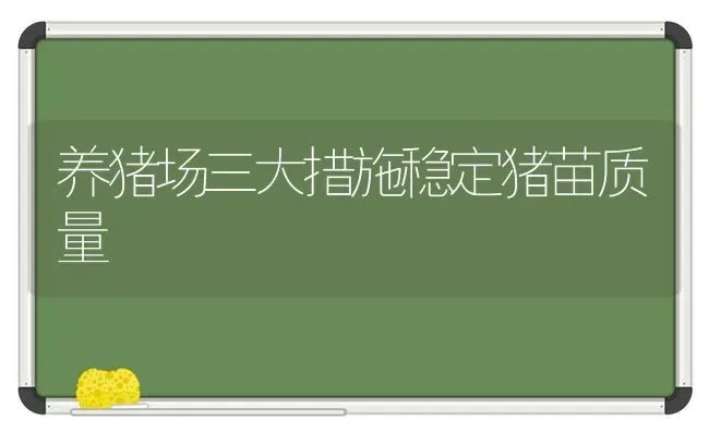 养猪场三大措施稳定猪苗质量 | 家畜养殖