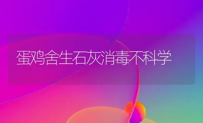 蛋鸡舍生石灰消毒不科学 | 家禽养殖