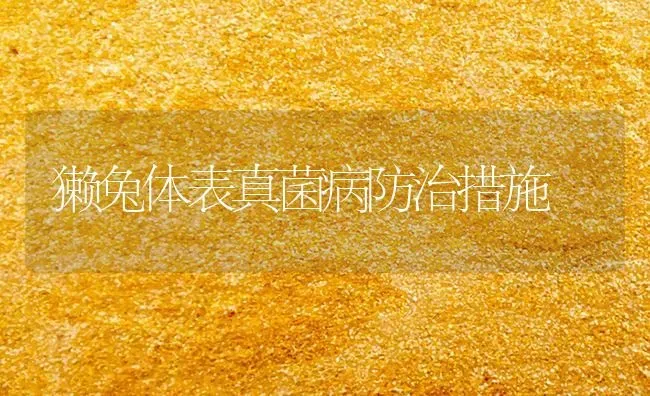 獭兔体表真菌病防治措施 | 家畜养殖