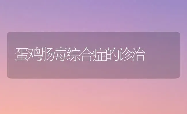 蛋鸡肠毒综合症的诊治 | 家禽养殖
