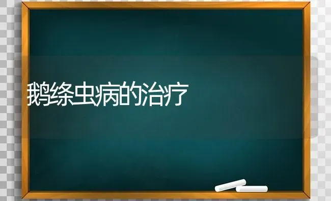 鹅绦虫病的治疗 | 家禽养殖