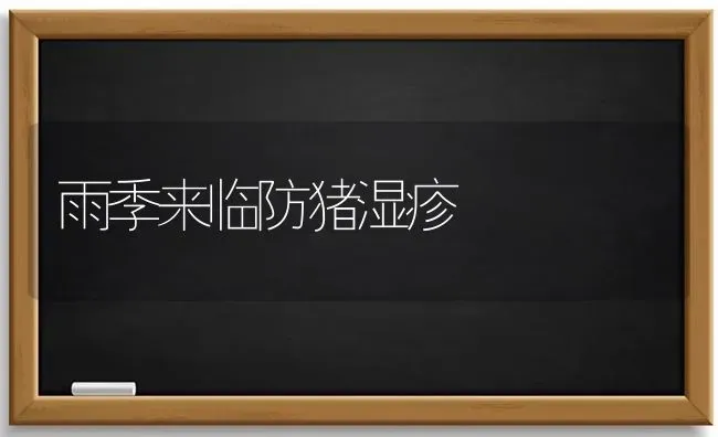 雨季来临防猪湿疹 | 家畜养殖