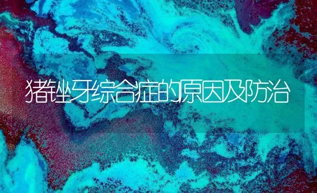 猪锉牙综合症的原因及防治 | 家畜养殖
