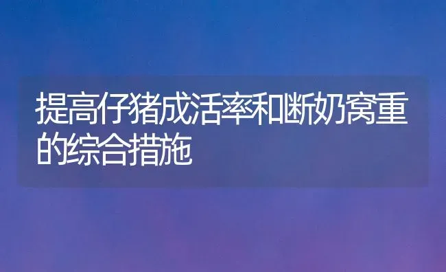提高仔猪成活率和断奶窝重的综合措施 | 家畜养殖