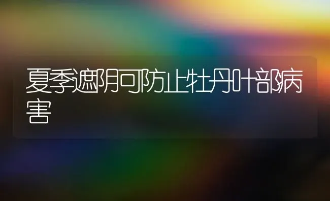 用仙人掌巧治奶牛家兔乳房炎 | 家畜养殖