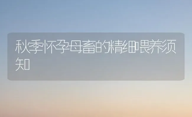 秋季怀孕母畜的精细喂养须知 | 家畜养殖