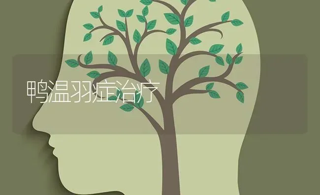 鸭温羽症治疗 | 家禽养殖