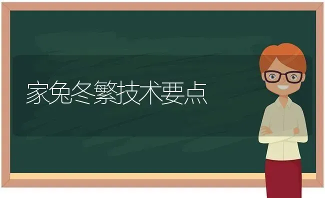 家兔冬繁技术要点 | 家畜养殖
