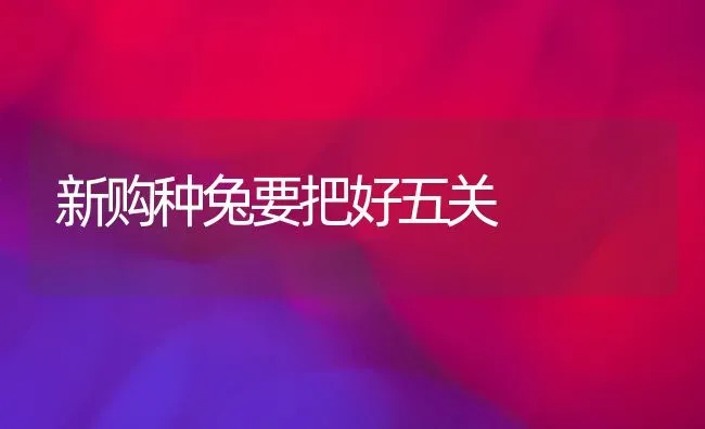 新购种兔要把好五关 | 家畜养殖