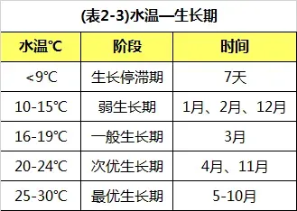 草鱼鱼种怎么养?可以看下这份超详细的养殖指南