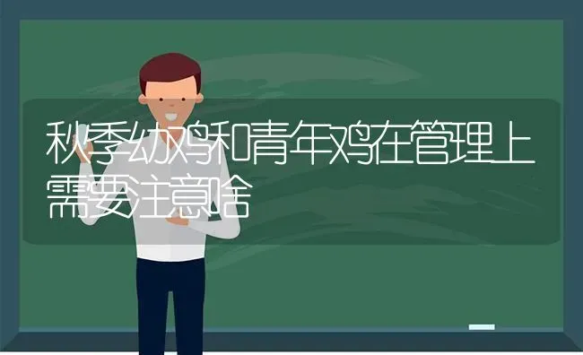 秋季幼鸡和青年鸡在管理上需要注意啥 | 家禽养殖