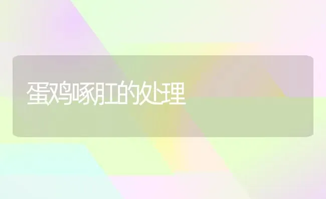 蛋鸡啄肛的处理 | 家禽养殖