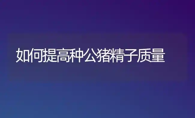 如何提高种公猪精子质量 | 家畜养殖