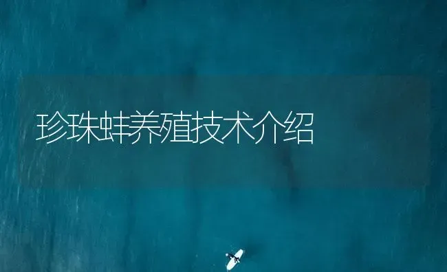 珍珠蚌养殖技术介绍 | 海水养殖