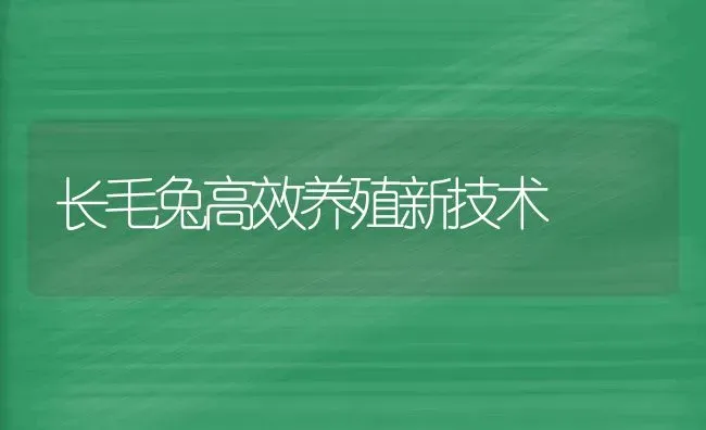 长毛兔高效养殖新技术 | 家畜养殖