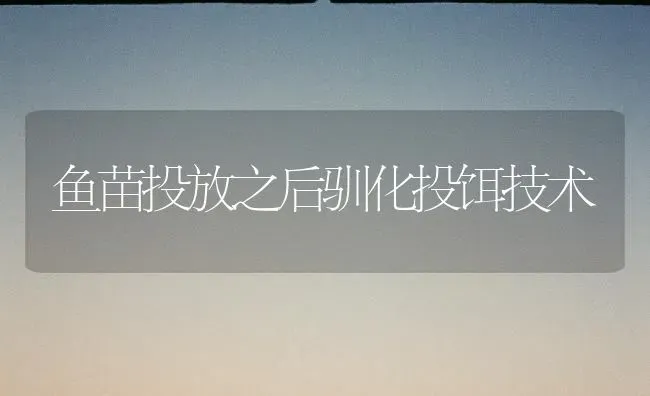 鱼苗投放之后驯化投饵技术 | 淡水养殖