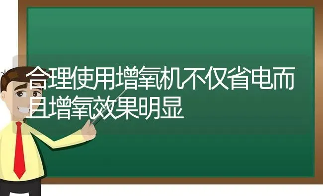 合理使用增氧机不仅省电而且增氧效果明显 | 动物养殖百科
