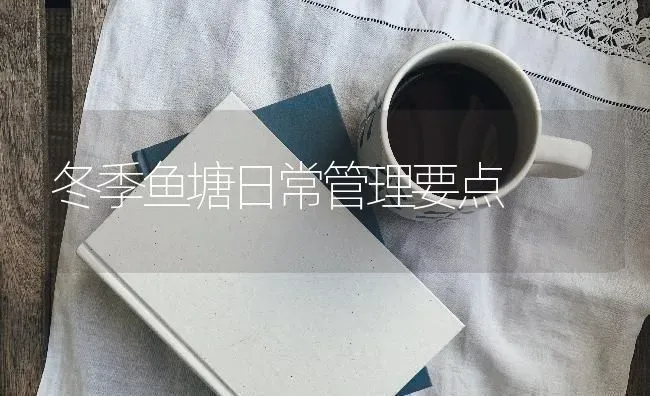 冬季鱼塘日常管理要点 | 淡水养殖