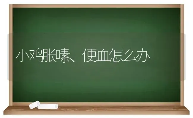 小鸡胀嗉、便血怎么办 | 家禽养殖