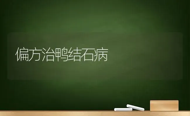 偏方治鸭结石病 | 家禽养殖