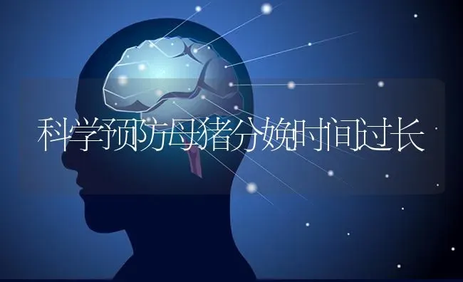 科学预防母猪分娩时间过长 | 家畜养殖