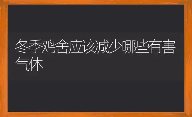 冬季鸡舍应该减少哪些有害气体 | 家禽养殖