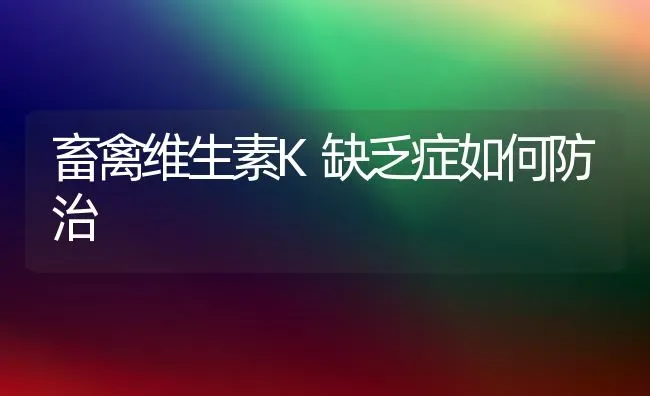 畜禽维生素K缺乏症如何防治 | 家禽养殖