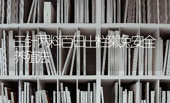 三针两料百日出栏獭兔安全养殖法 | 家畜养殖