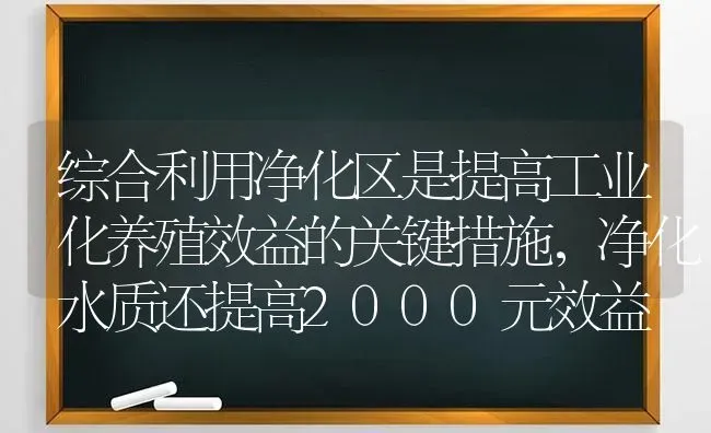 综合利用净化区是提高工业化养殖效益的关键措施，净化水质还提高2000元效益 | 动物养殖百科