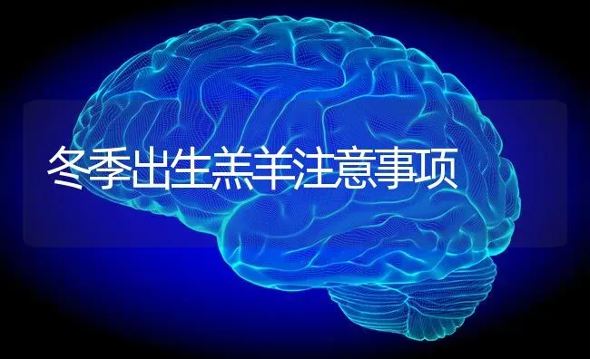 冬季出生羔羊注意事项 | 家畜养殖