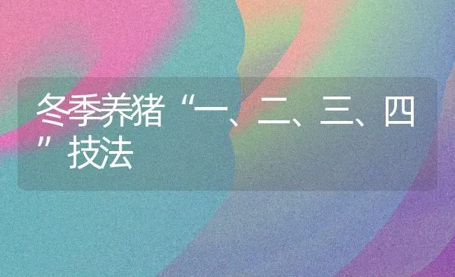 冬季养猪“一、二、三、四”技法 | 家畜养殖