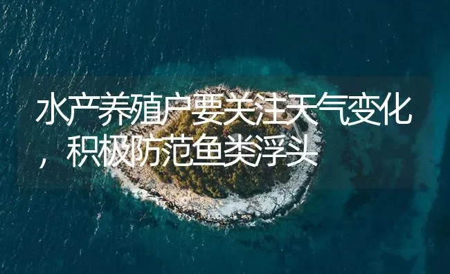 水产养殖户要关注天气变化，积极防范鱼类浮头 | 养殖病虫害防治