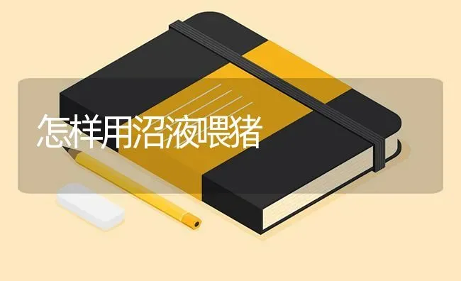怎样用沼液喂猪 | 家畜养殖