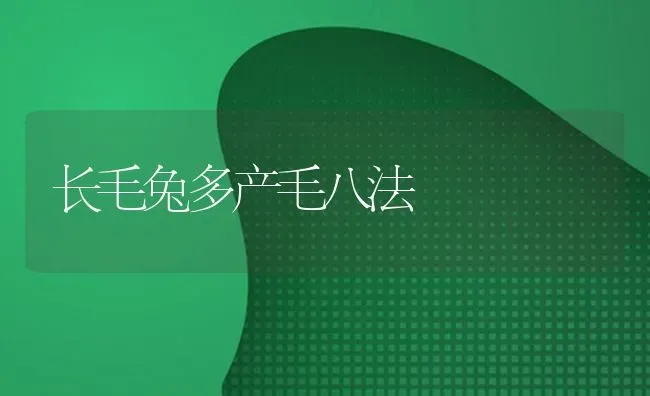 长毛兔多产毛八法 | 家畜养殖