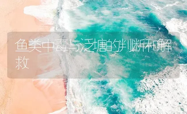 鱼类中毒与泛塘的判断和解救 | 养殖病虫害防治