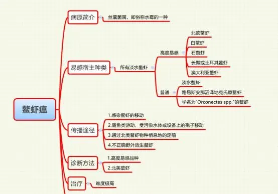 鱼病知识——鳌虾瘟