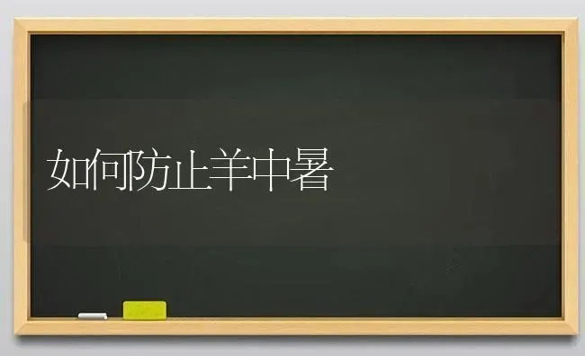 如何防止羊中暑 | 家畜养殖