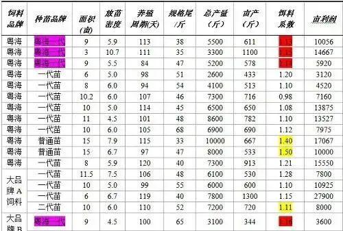 粤海一代对虾苗助力珠三角冬棚虾养殖户丰收